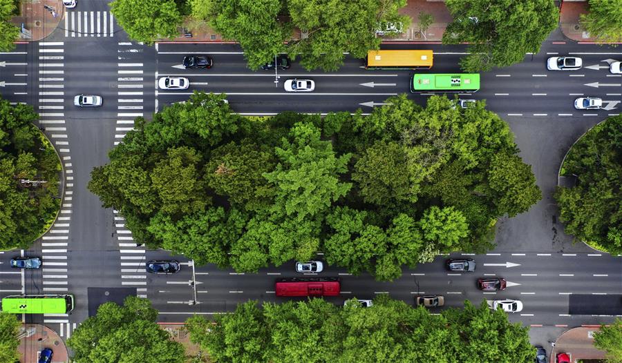 （環(huán)境）（6）長(zhǎng)春：城市&ldquo;綠妝&rdquo;