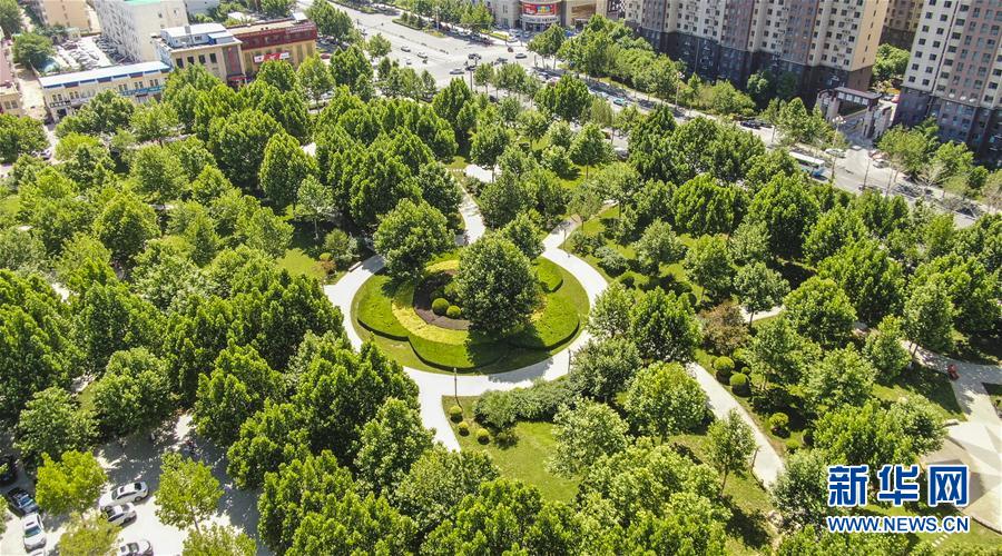 (社會)(1)河北霸州大力建設城市公園