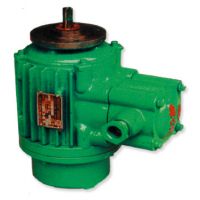 赤峰起升電機高品質