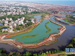 海口江東新區(qū)生態(tài)修復(fù)