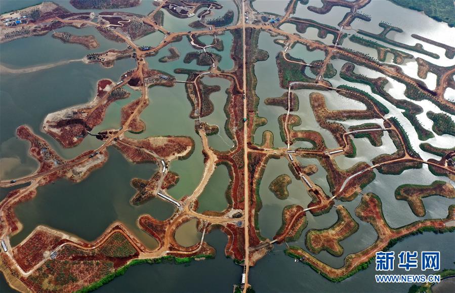 （環境）（3）?？诮瓥|新區生態修復