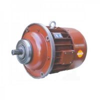 滄州錐型轉(zhuǎn)子單速起升電動機(jī)